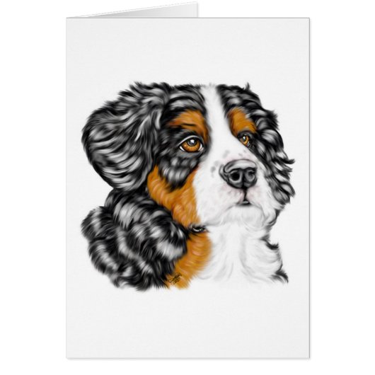 Bernese Mountain Dog Pup (Front)