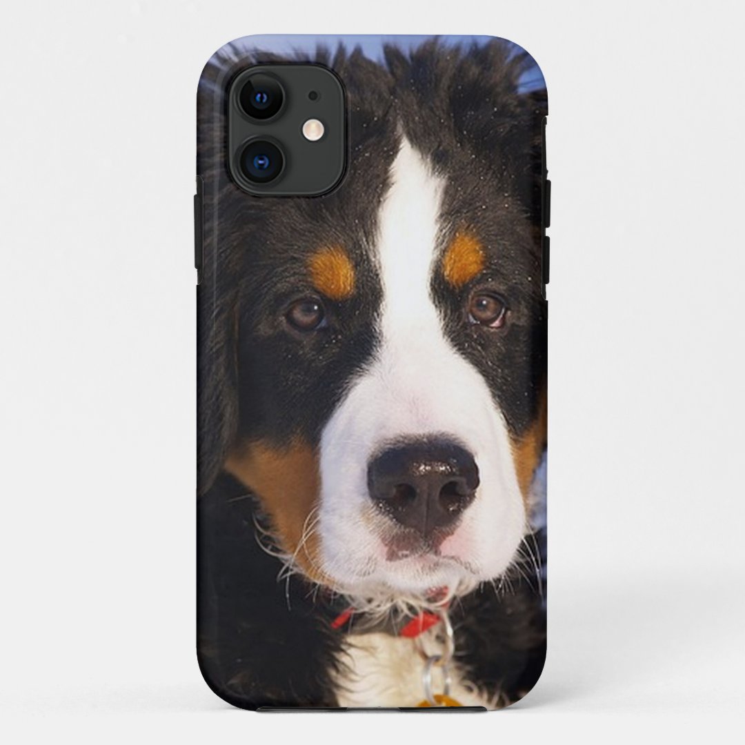 Bernese Mountain Dog Pup iPhone 5 case | Zazzle