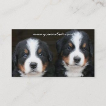 Bernese Mountain Dog Puppies Business Card by ritmoboxer at Zazzle