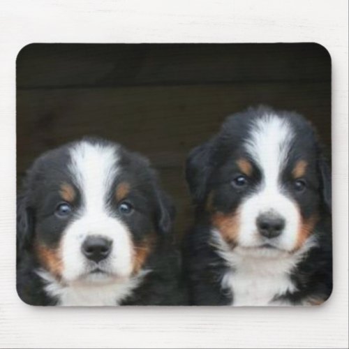 Bernese mountain dog puppies mousepad