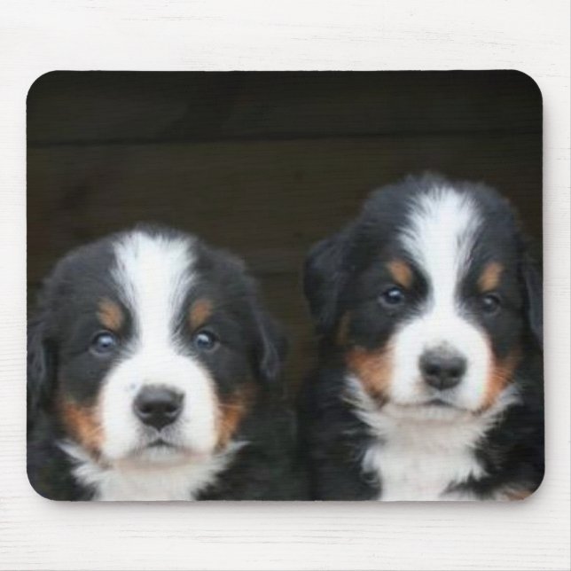 Bernese mountain dog puppies mousepad (Front)