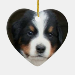 Bernese mountain dog puppies ornament