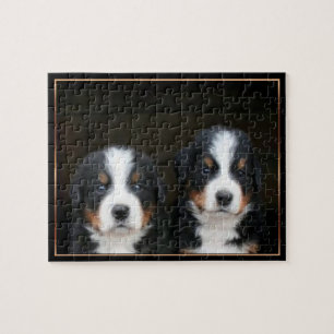 Bernese mountain dog puppies puzzle