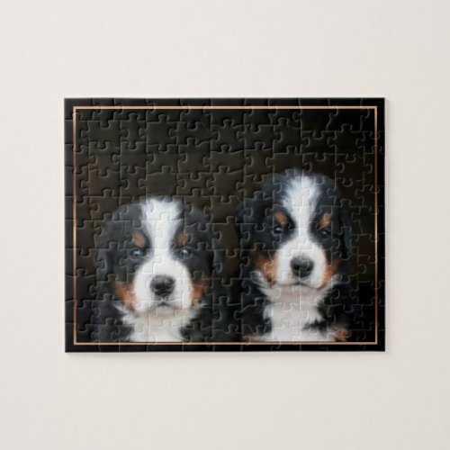 Bernese mountain dog  puppies puzzle