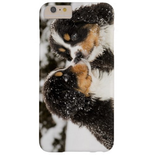 Bernese Mountain Dog Puppies Sniff Each Other Barely There iPhone 6 Plus Case