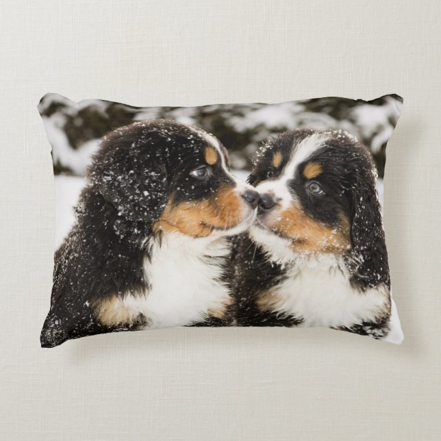 Bernese Mountain Dog Puppies Sniff Each Other Decorative Pillow (Front)