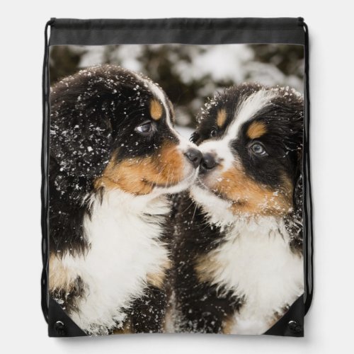 Bernese Mountain Dog Puppies Sniff Each Other Drawstring Bag