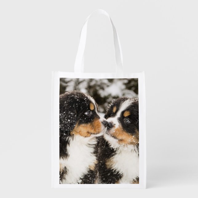 Bernese Mountain Dog Puppies Sniff Each Other Grocery Bag (Front)