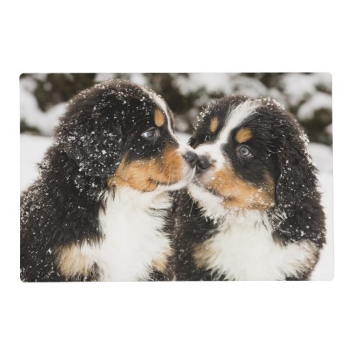 Bernese Mountain Dog Puppies Sniff Each Other Placemat