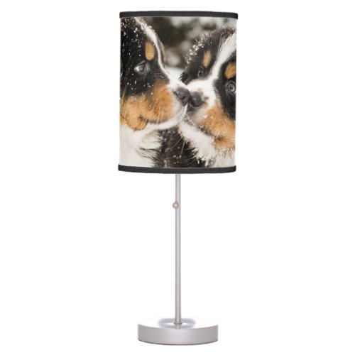 Bernese Mountain Dog Puppies Sniff Each Other Table Lamp