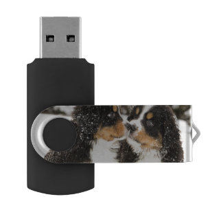 Bernese Mountain Dog Puppies Sniff Each Other USB Flash Drive