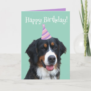 Bernese Mountain Dog Puppy Birthday Card