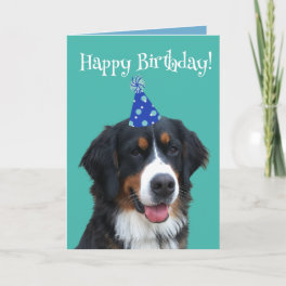 Bernese Mountain Dog Puppy Birthday Card