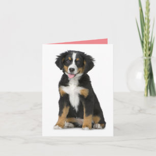 Bernese Mountain Dog Puppy Dog Note Card