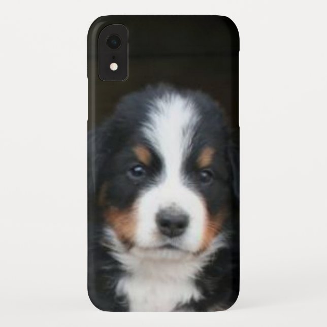 Bernese Mountain Dog Puppy iphone Xr Speck Case (Back)