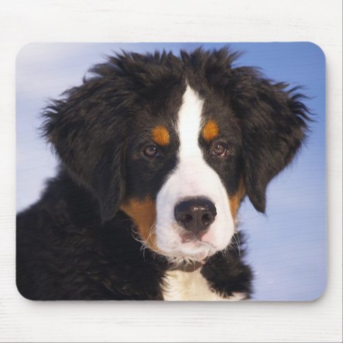 Bernese Mountain Dog Puppy Mouse Pad