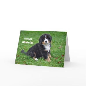 Bernese Mountain Dog Puppy Photo Birthday Card