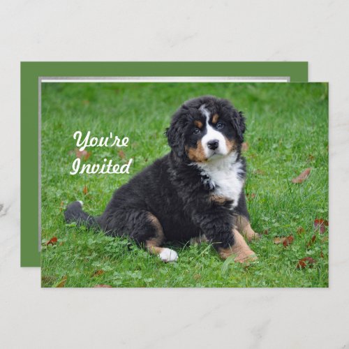 Bernese Mountain Dog Puppy Photo Birthday Invitation