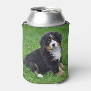 Bernese Mountain Dog Puppy Photo Can Cooler