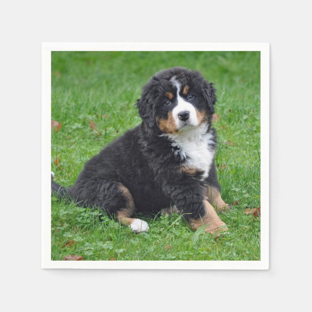 Bernese Mountain Dog Puppy Photo Napkins (Front)