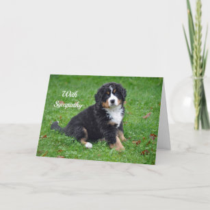Bernese Mountain Dog Puppy Photo Sympathy Card