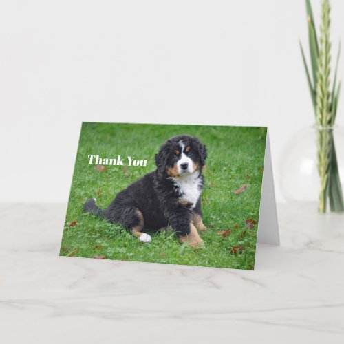 Bernese Mountain Dog Puppy Photo Thank You Card