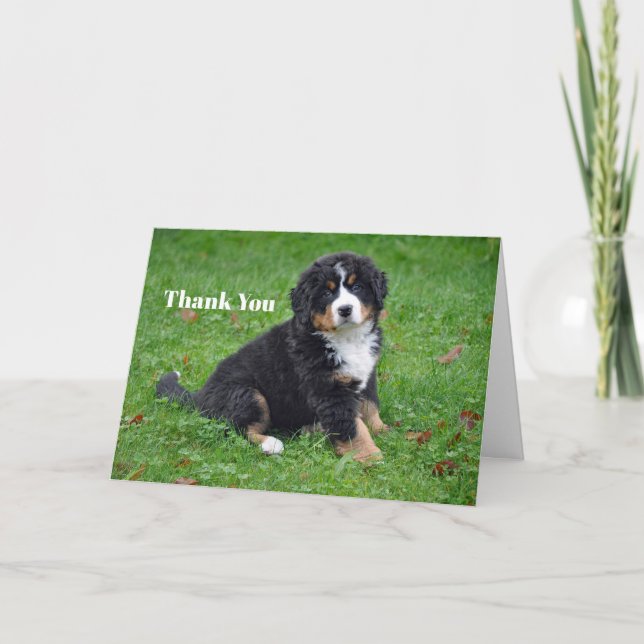 Bernese Mountain Dog Puppy Photo Thank You Card (Front)