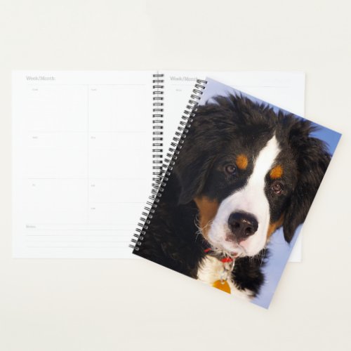 Bernese Mountain Dog Puppy Planner