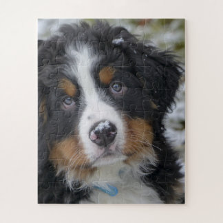 Bernese Mountain Dog Puppy Second Jigsaw Puzzle