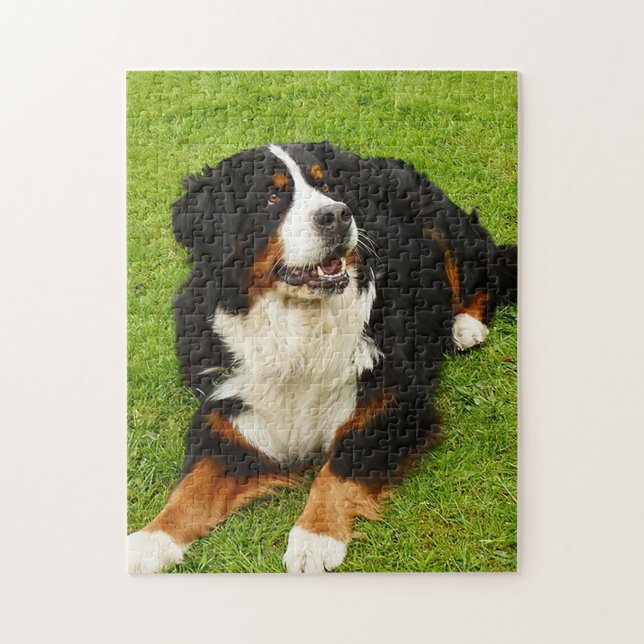 Bernese Mountain dog Puzzle (Vertical)