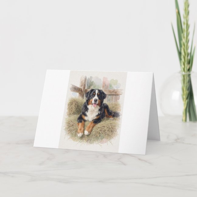 Bernese Mountain Dog Resting On The Alpine Hay Lof Card