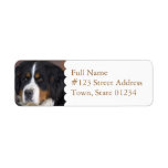 Bernese Mountain Dog Return Address Label