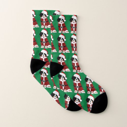 Bernese Mountain Dog Santa Paws Socks
