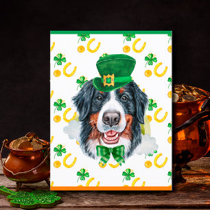 Bernese Mountain Dog Shamrock St. Patricks Day Holiday Postcard