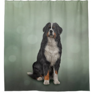 Bernese Mountain Dog Shower Curtain