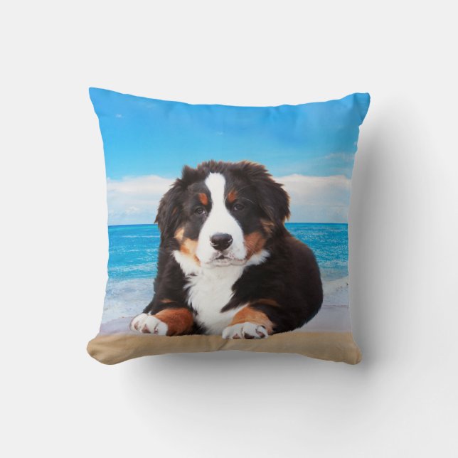 Bernese Mountain Dog Sitting on Beach Throw Pillow (Front)