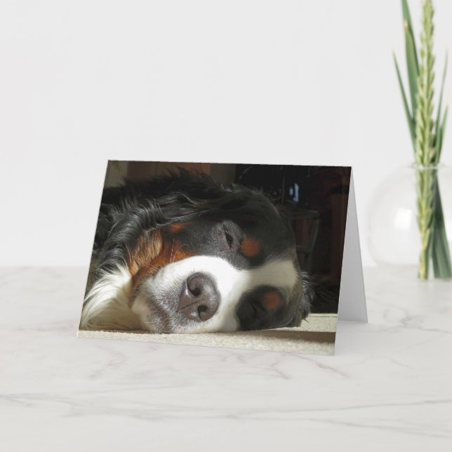 bernese mountain dog sleeping card (Front)