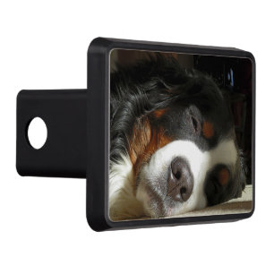 bernese mountain dog sleeping hitch cover