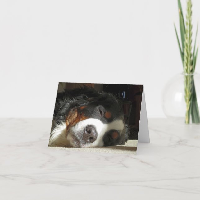 bernese mountain dog sleeping letterpress thank you card (Front)