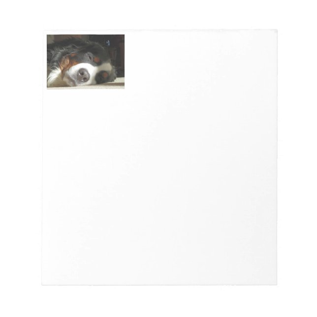 bernese mountain dog sleeping notepad (Front)