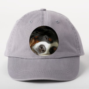 bernese mountain dog sleeping patch