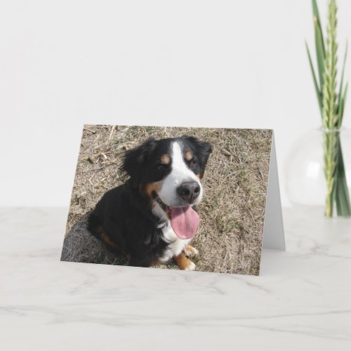 Bernese Mountain Dog Smile Card