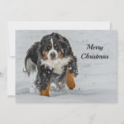 Bernese Mountain Dog Snow Photo Christmas Flat Holiday Card