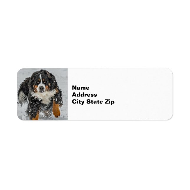 Bernese Mountain Dog Snow Photo Label (Front)