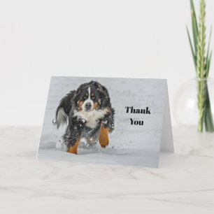 Bernese Mountain Dog Snow Photo Letterpress Thank You Card