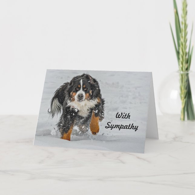 Bernese Mountain Dog Snow Photo Sympathy Card (Front)