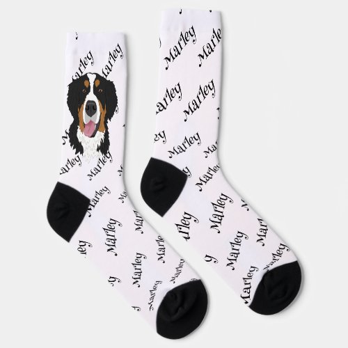 Bernese Mountain Dog  Socks