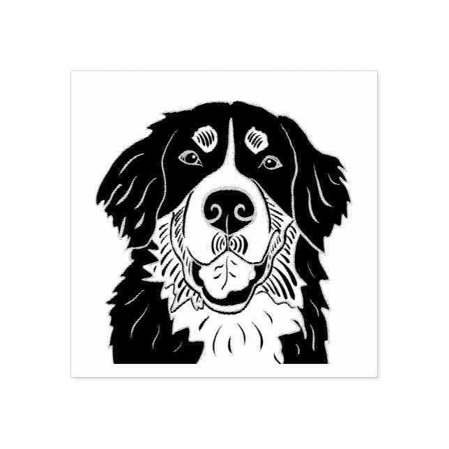 Bernese mountain dog stamp (Imprint)