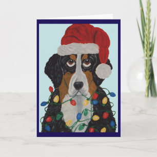 Bernese Mountain Dog Tangled In Christmas Lights Card