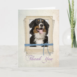 Bernese Mountain Dog Thank You Card